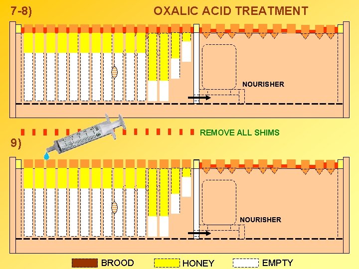 7 -8) OXALIC ACID TREATMENT NOURISHER REMOVE ALL SHIMS 9) NOURISHER BROOD HONEY EMPTY