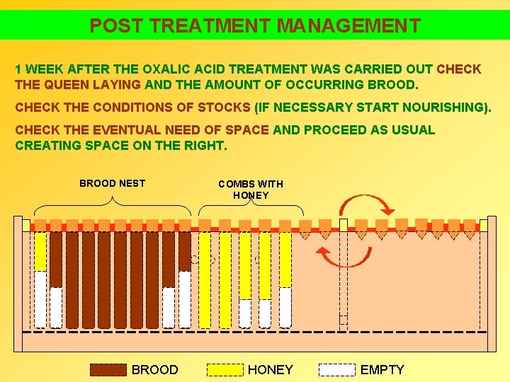 POST TREATMENT MANAGEMENT 1 WEEK AFTER THE OXALIC ACID TREATMENT WAS CARRIED OUT CHECK
