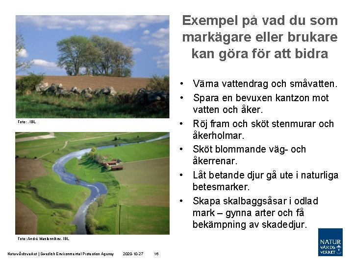 Exempel på vad du som markägare eller brukare kan göra för att bidra •
