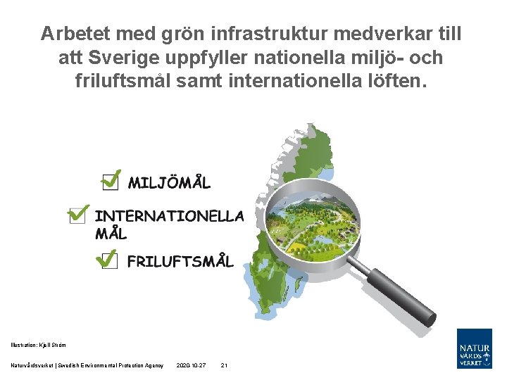 Arbetet med grön infrastruktur medverkar till att Sverige uppfyller nationella miljö- och friluftsmål samt