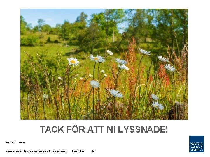 TACK FÖR ATT NI LYSSNADE! Foto: TT. i. Stock. Getty Naturvårdsverket | Swedish Environmental