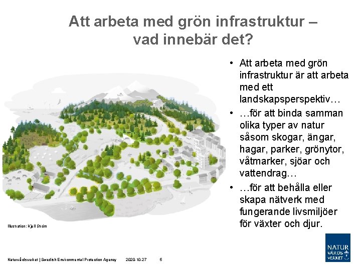 Att arbeta med grön infrastruktur – vad innebär det? • Att arbeta med grön