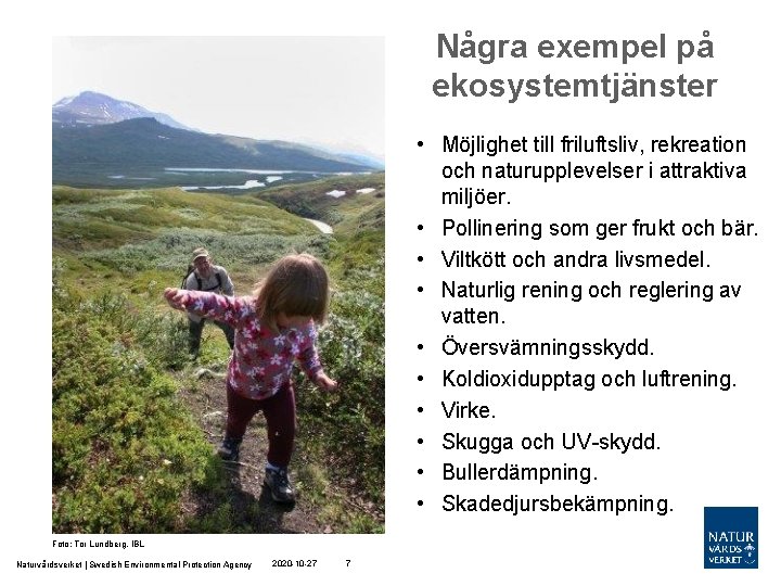 Några exempel på ekosystemtjänster • Möjlighet till friluftsliv, rekreation och naturupplevelser i attraktiva miljöer.