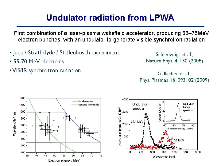 Undulator radiation from LPWA First combination of a laser-plasma wakefield accelerator, producing 55– 75