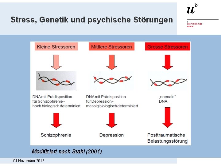 Stress, Genetik und psychische Störungen Modifiziert nach Stahl (2001) 04. November 2013 