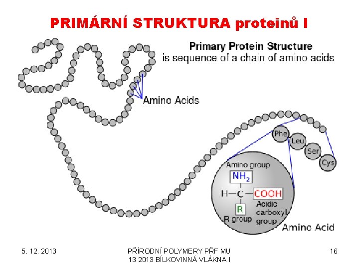 PRIMÁRNÍ STRUKTURA proteinů I 5. 12. 2013 PŘÍRODNÍ POLYMERY PŘF MU 13 2013 BÍLKOVINNÁ