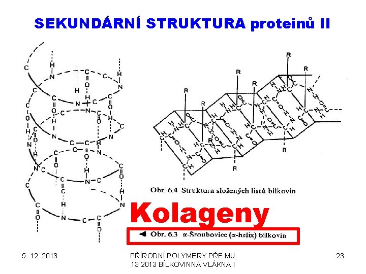 SEKUNDÁRNÍ STRUKTURA proteinů II Kolageny 5. 12. 2013 PŘÍRODNÍ POLYMERY PŘF MU 13 2013