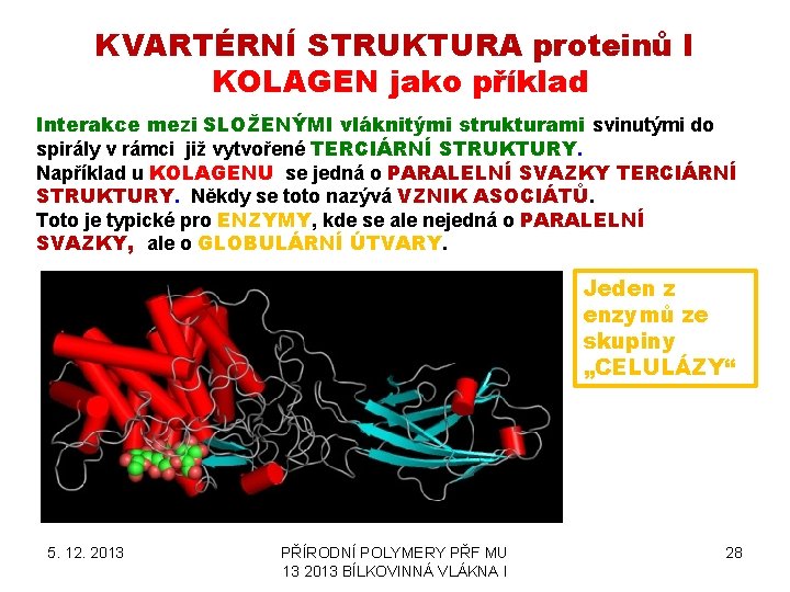 KVARTÉRNÍ STRUKTURA proteinů I KOLAGEN jako příklad Interakce mezi SLOŽENÝMI vláknitými strukturami svinutými do