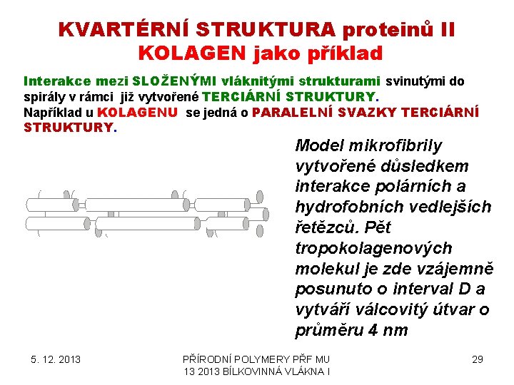 KVARTÉRNÍ STRUKTURA proteinů II KOLAGEN jako příklad Interakce mezi SLOŽENÝMI vláknitými strukturami svinutými do
