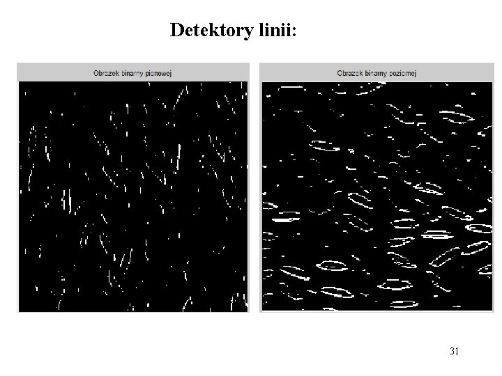 Detektory linii: 31 