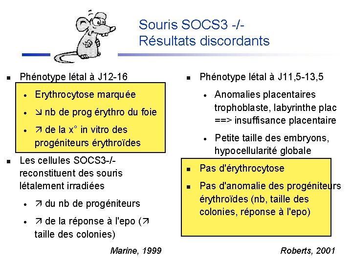 Souris SOCS 3 -/Résultats discordants n n Phénotype létal à J 12 -16 ·