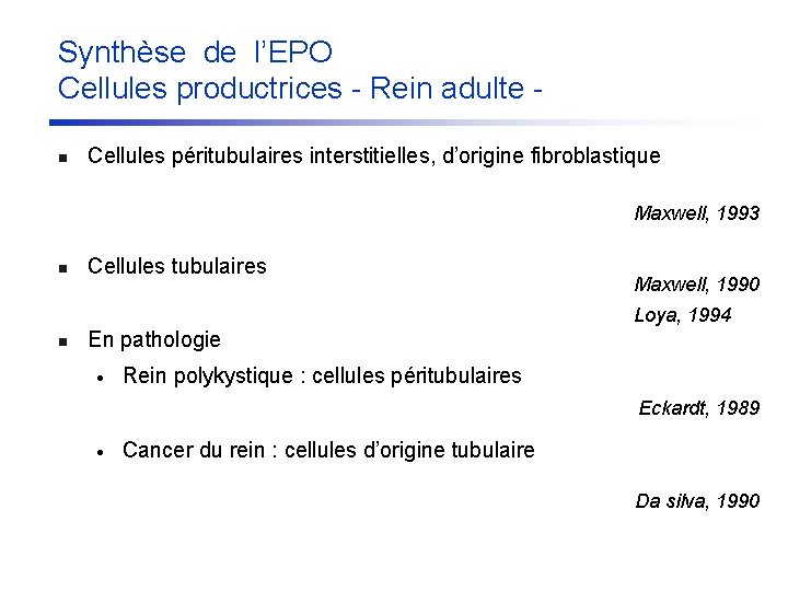 Synthèse de l’EPO Cellules productrices - Rein adulte n Cellules péritubulaires interstitielles, d’origine fibroblastique