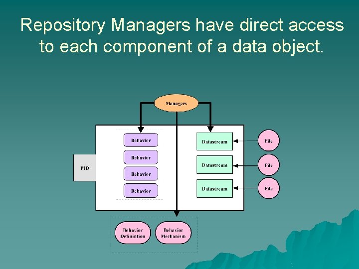 Repository Managers have direct access to each component of a data object. 