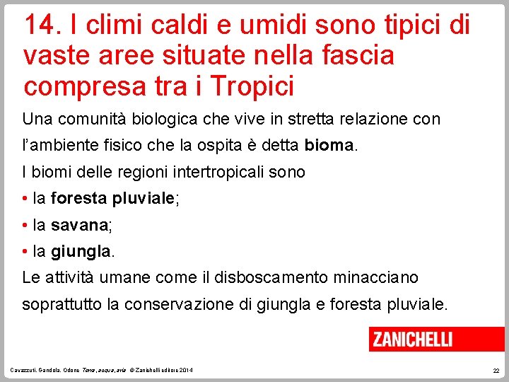 14. I climi caldi e umidi sono tipici di vaste aree situate nella fascia