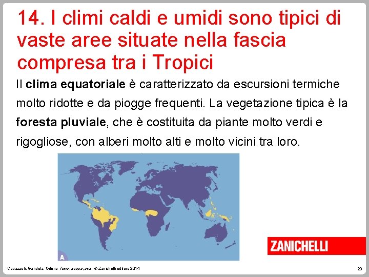 14. I climi caldi e umidi sono tipici di vaste aree situate nella fascia