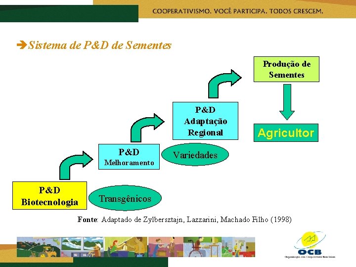 èSistema de P&D de Sementes Produção de Sementes P&D Adaptação Regional P&D Melhoramento P&D