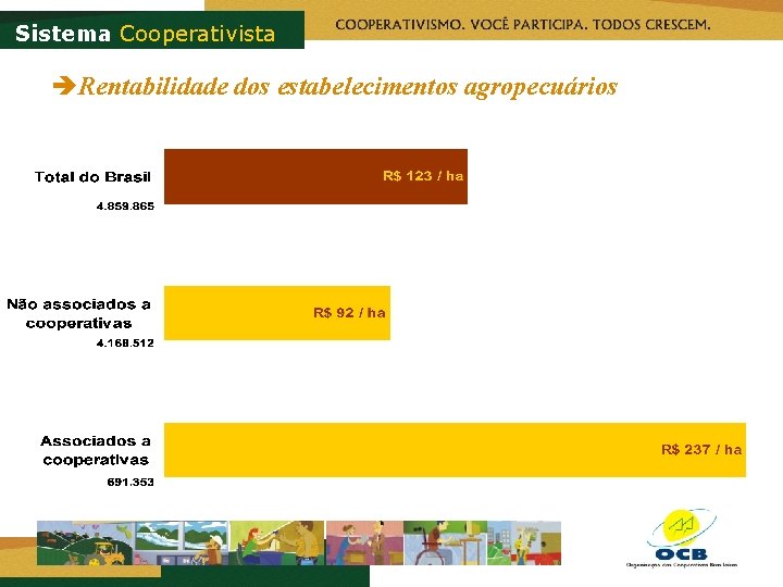 Sistema Cooperativista èRentabilidade dos estabelecimentos agropecuários 