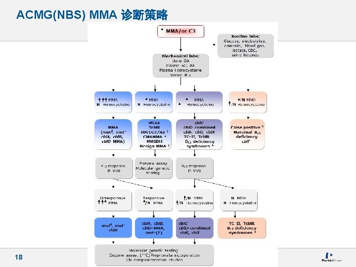 ACMG(NBS) MMA 诊断策略 18 