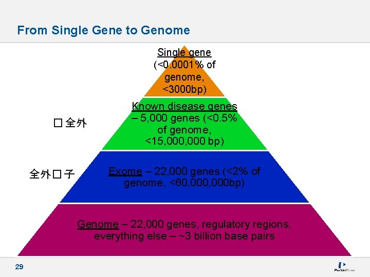 From Single Gene to Genome Single gene (<0. 0001% of genome, <3000 bp) �