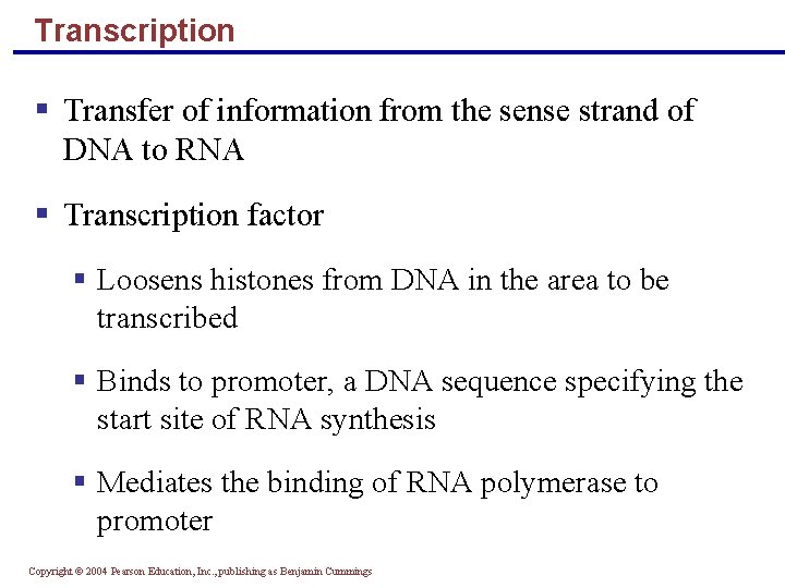 Transcription Transfer of information from the sense strand of DNA to RNA Transcription factor