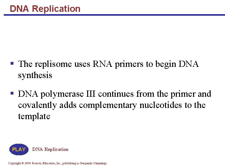 DNA Replication The replisome uses RNA primers to begin DNA synthesis DNA polymerase III