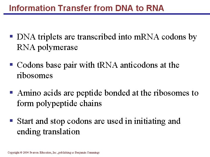 Information Transfer from DNA to RNA DNA triplets are transcribed into m. RNA codons