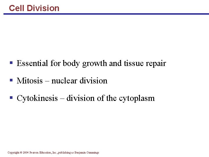 Cell Division Essential for body growth and tissue repair Mitosis – nuclear division Cytokinesis