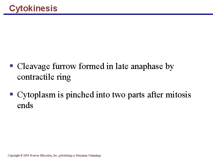 Cytokinesis Cleavage furrow formed in late anaphase by contractile ring Cytoplasm is pinched into