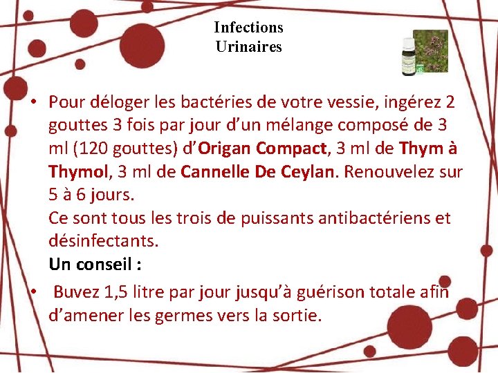 Infections Urinaires • Pour déloger les bactéries de votre vessie, ingérez 2 gouttes 3