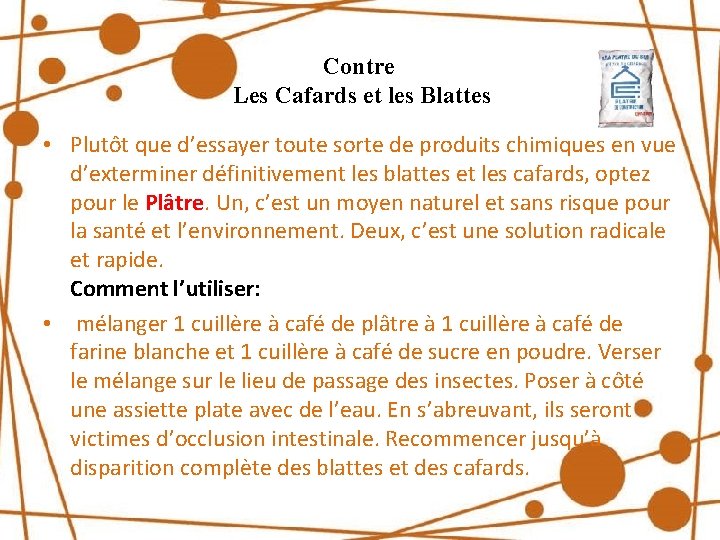 Contre Les Cafards et les Blattes • Plutôt que d’essayer toute sorte de produits