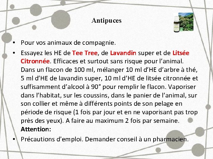 Antipuces • Pour vos animaux de compagnie. • Essayez les HE de Tee Tree,