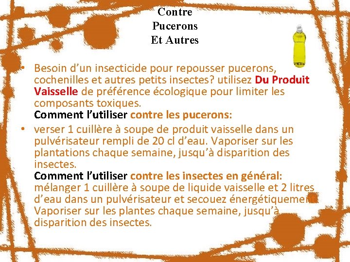 Contre Pucerons Et Autres • Besoin d’un insecticide pour repousser pucerons, cochenilles et autres