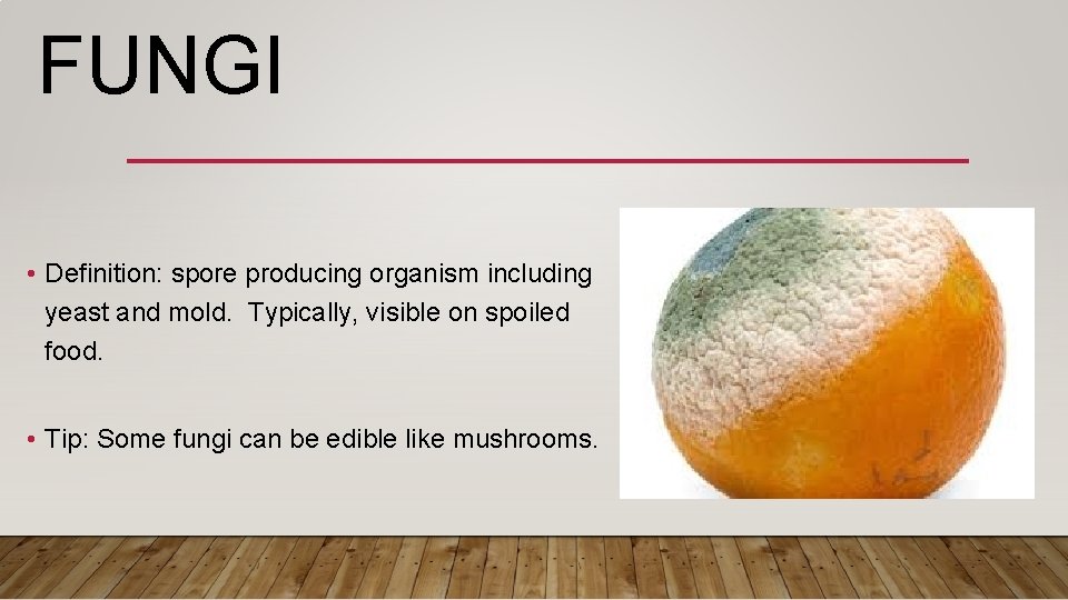 FUNGI • Definition: spore producing organism including yeast and mold. Typically, visible on spoiled