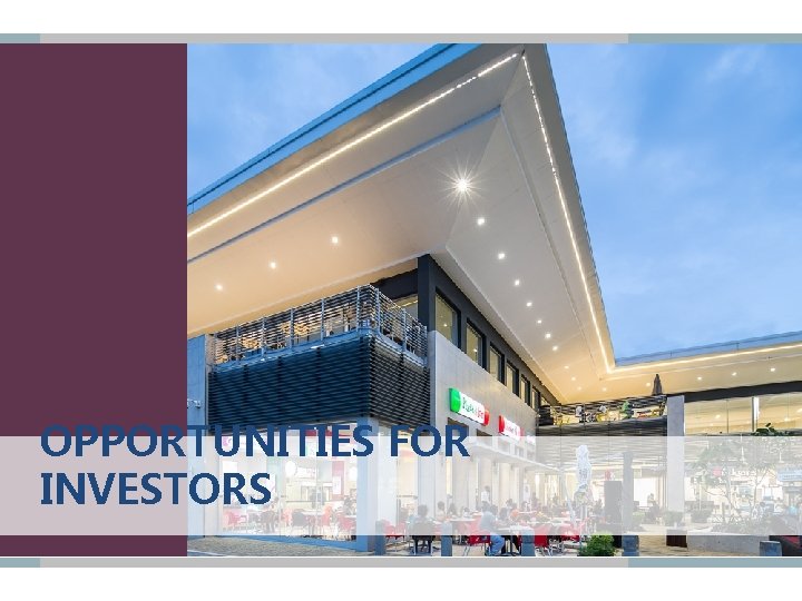 OPPORTUNITIES FOR INVESTORS 