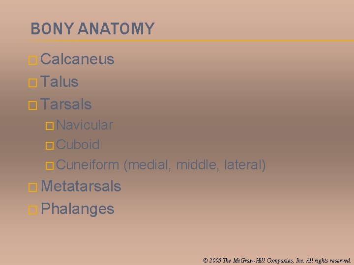 BONY ANATOMY � Calcaneus � Talus � Tarsals � Navicular � Cuboid � Cuneiform