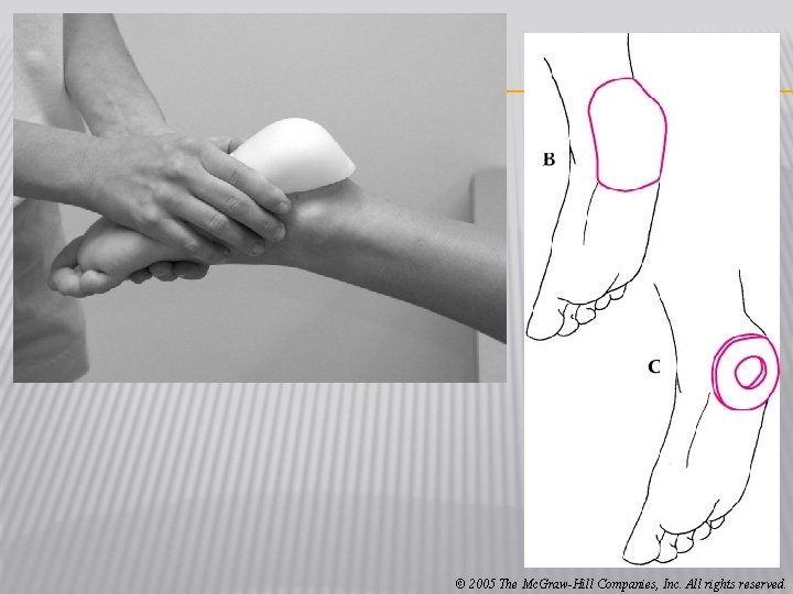 © 2005 The Mc. Graw-Hill Companies, Inc. All rights reserved. 