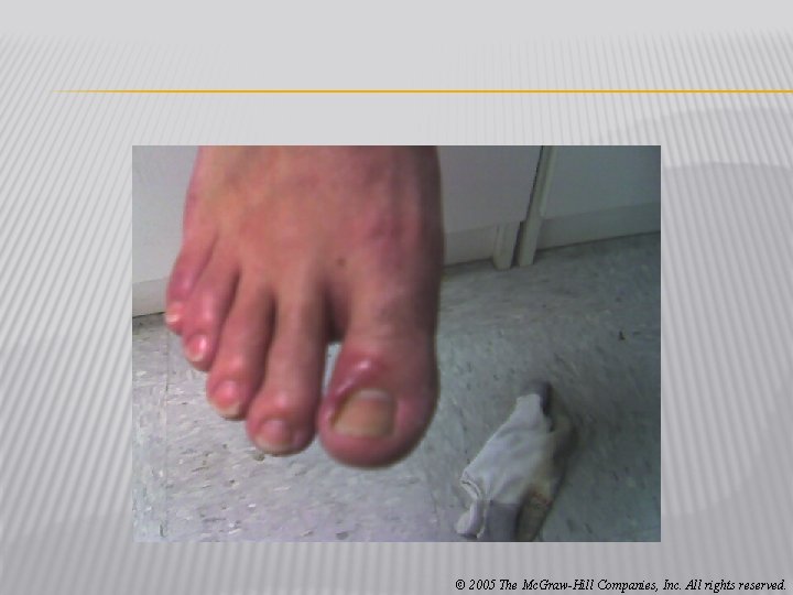 © 2005 The Mc. Graw-Hill Companies, Inc. All rights reserved. 