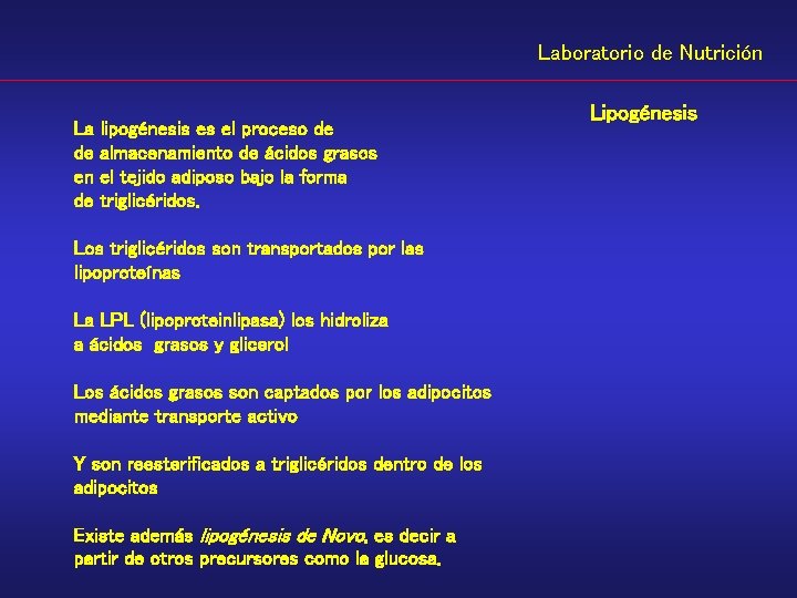 Laboratorio de Nutrición La lipogénesis es el proceso de de almacenamiento de ácidos grasos