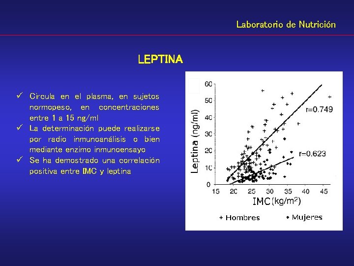 Laboratorio de Nutrición LEPTINA ü Circula en el plasma, en sujetos normopeso, en concentraciones