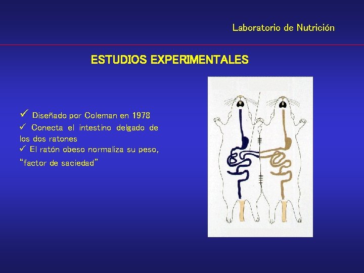 Laboratorio de Nutrición ESTUDIOS EXPERIMENTALES ü Diseñado por Coleman en 1978 ü Conecta el