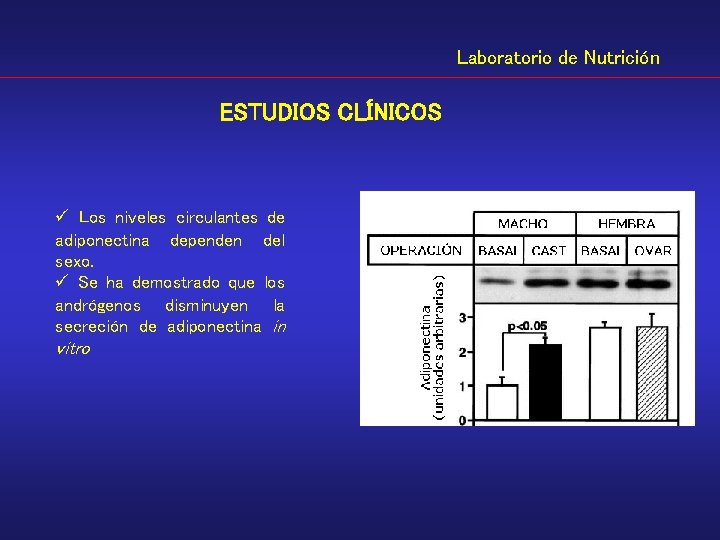 Laboratorio de Nutrición ESTUDIOS CLÍNICOS ü Los niveles circulantes de adiponectina dependen del sexo.