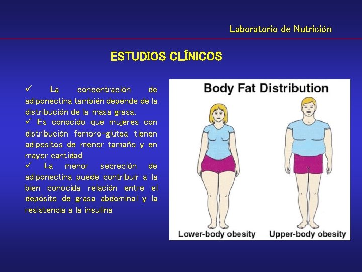 Laboratorio de Nutrición ESTUDIOS CLÍNICOS ü La concentración de adiponectina también depende de la