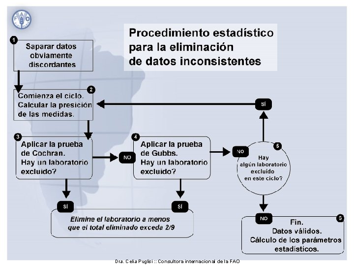 Dra. Celia Puglisi : : Consultora internacional de la FAO 