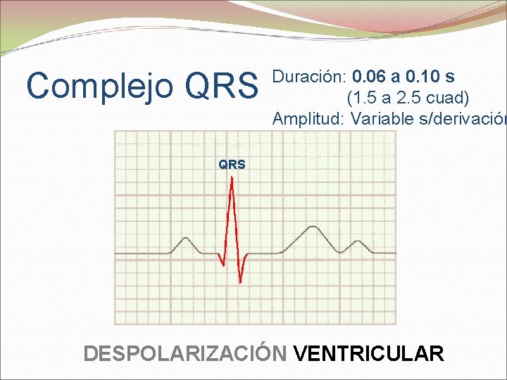 Complejo QRS Duración: 0. 06 a 0. 10 s (1. 5 a 2. 5
