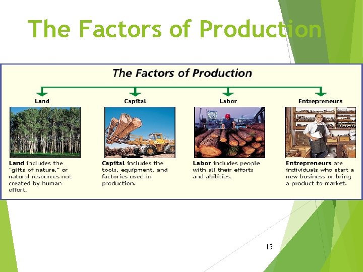 The Factors of Production 15 