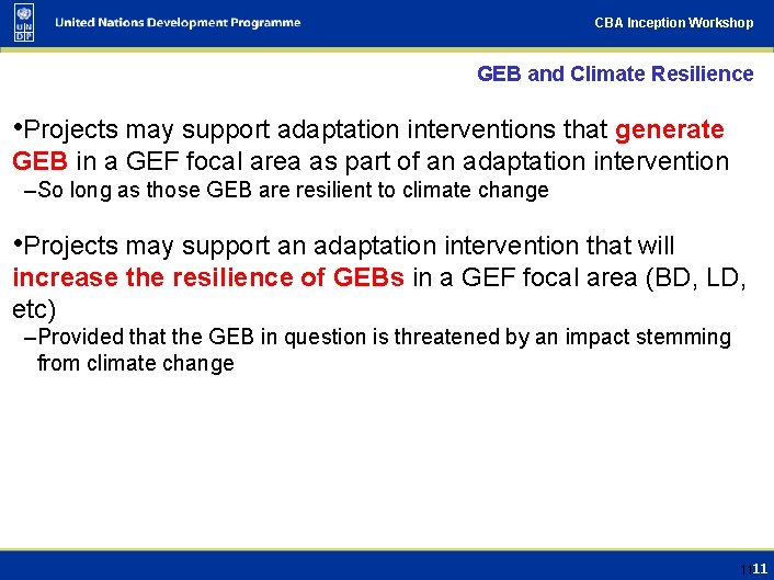 CBA Inception Workshop GEB and Climate Resilience • Projects may support adaptation interventions that
