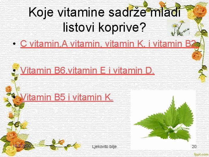 Koje vitamine sadrže mladi listovi koprive? • C vitamin, A vitamin, vitamin K, i