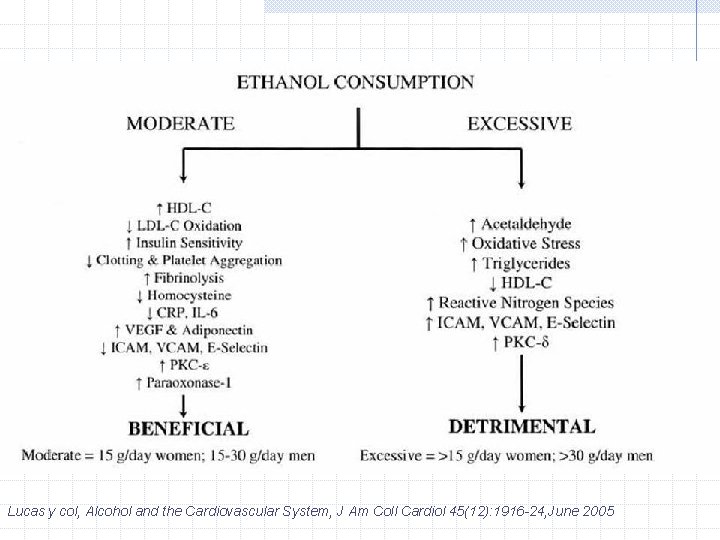 Lucas y col, Alcohol and the Cardiovascular System, J Am Coll Cardiol 45(12): 1916