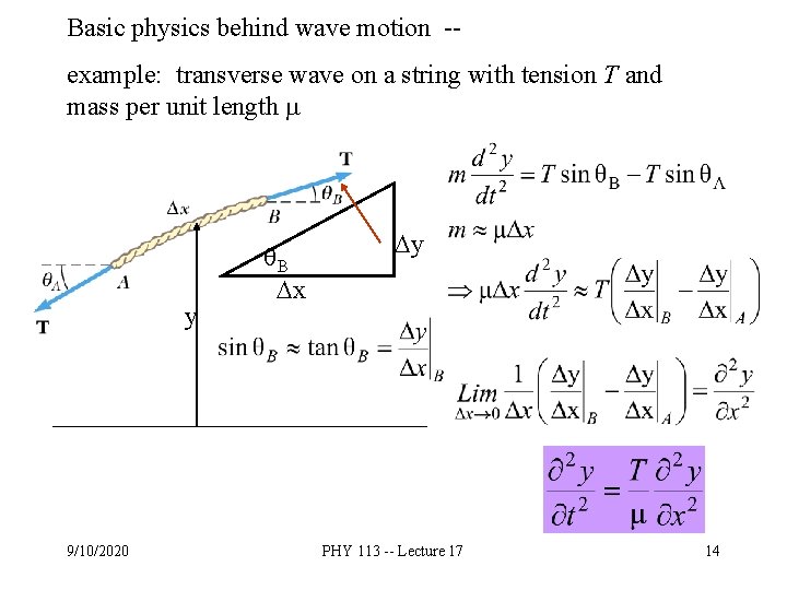Basic physics behind wave motion -example: transverse wave on a string with tension T