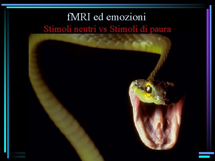 f. MRI ed emozioni Stimoli neutri vs Stimoli di paura 
